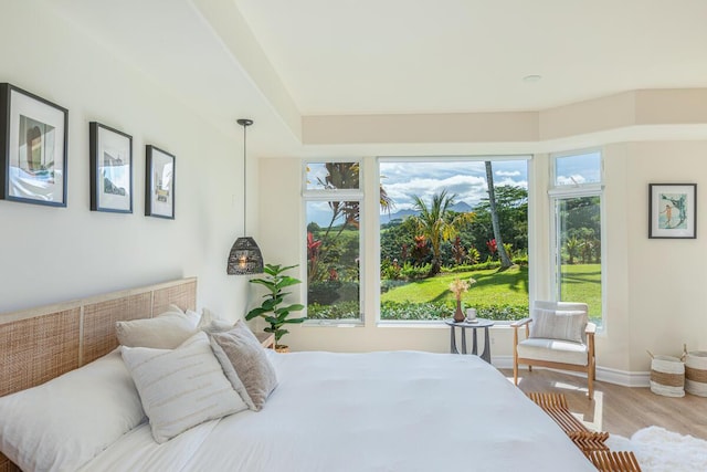 bedroom with light hardwood / wood-style floors