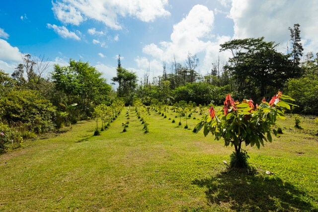 view of yard with a rural view