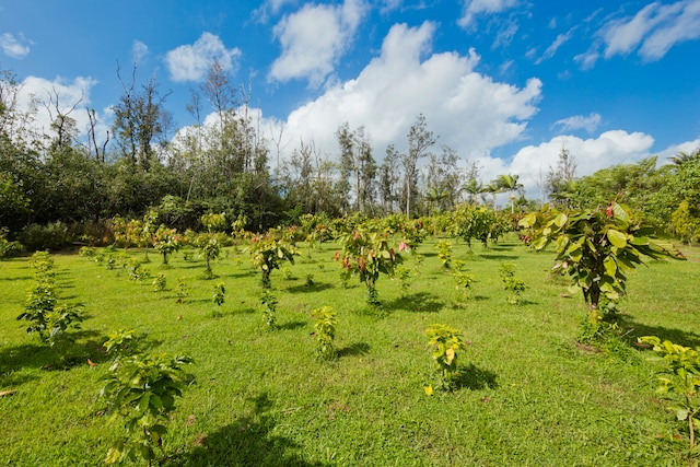 view of nature featuring a rural view