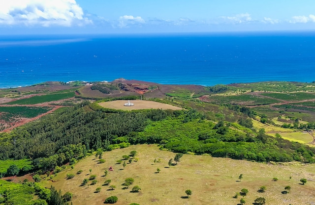 Lolo Rd, Kalaheo HI, 96741 land for sale