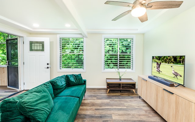 living room with ceiling fan, dark hardwood / wood-style floors, and beam ceiling