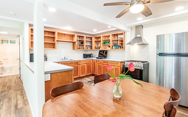 kitchen featuring appliances with stainless steel finishes, light wood-type flooring, ceiling fan, sink, and wall chimney range hood