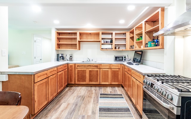 kitchen with appliances with stainless steel finishes, kitchen peninsula, light wood-type flooring, range hood, and sink