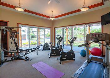 workout area featuring a wealth of natural light, carpet flooring, and a raised ceiling