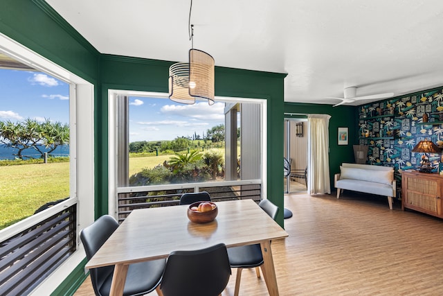 dining space with a healthy amount of sunlight, light hardwood / wood-style floors, and ceiling fan