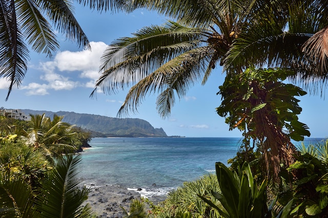 5300 Ka Haku Rd Unit 130, Princeville, HI 96722 - water view