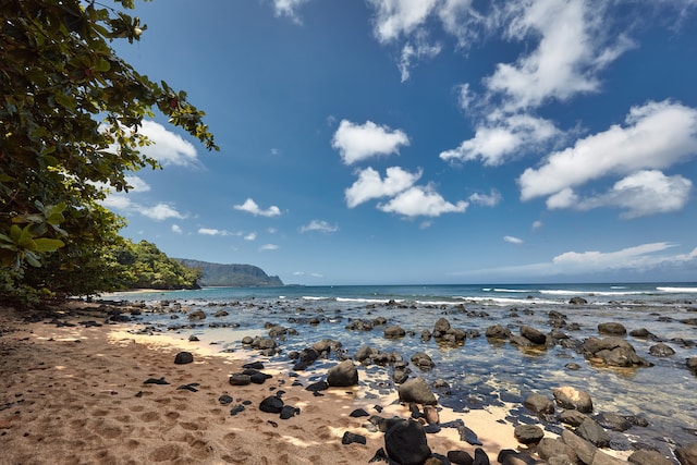 water view with a view of the beach