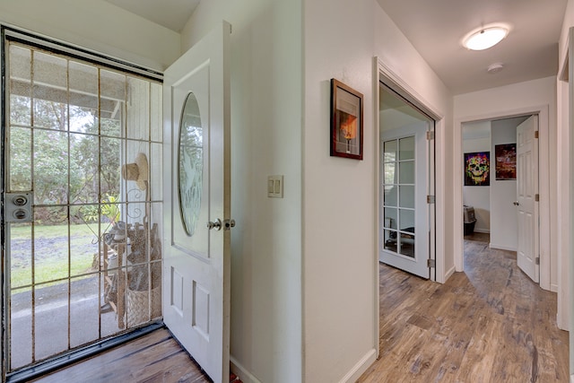 foyer with wood-type flooring