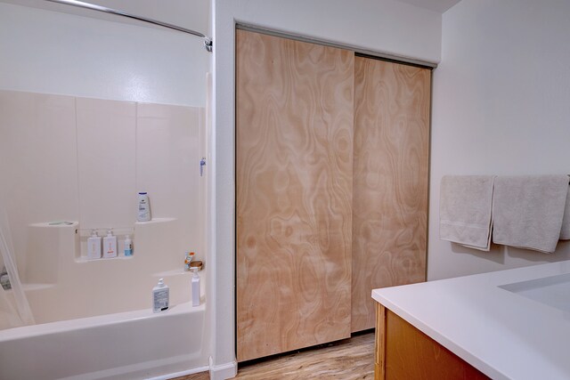 bathroom featuring wood-type flooring and vanity