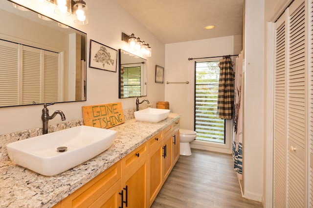 bathroom featuring hardwood / wood-style flooring, vanity, and toilet