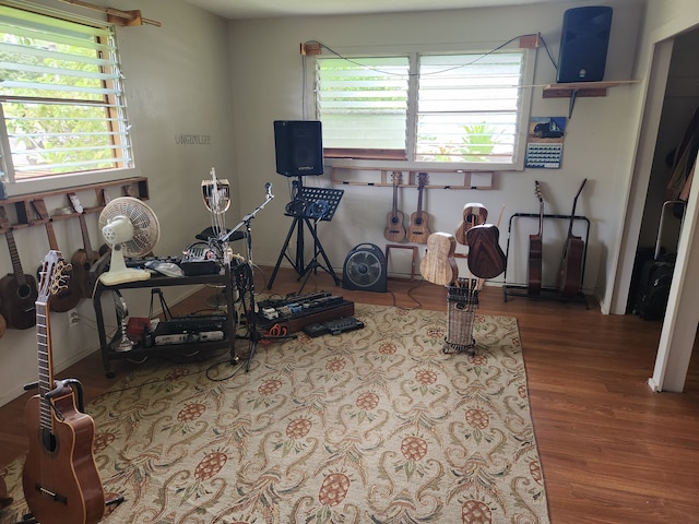 workout room with hardwood / wood-style flooring