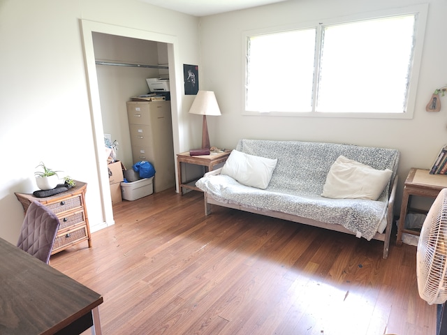 living room featuring hardwood / wood-style floors