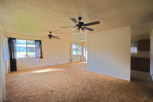 unfurnished room with carpet floors, a healthy amount of sunlight, and a textured ceiling