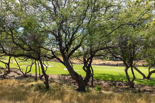 view of property's community with a yard