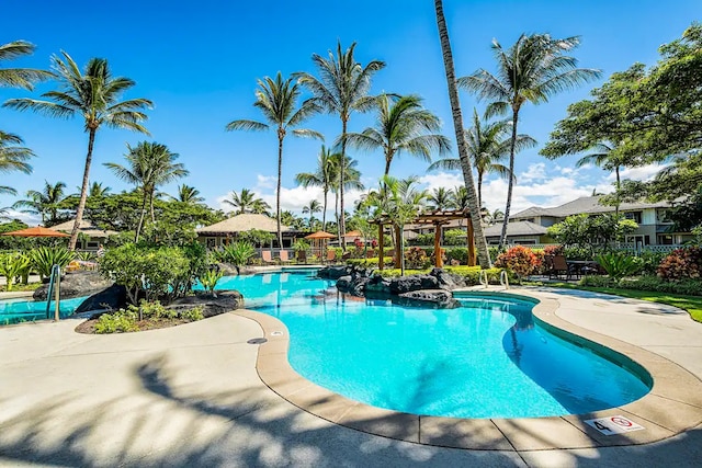 view of pool with a patio