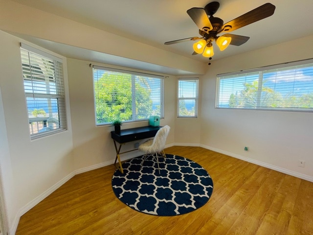 interior space featuring light hardwood / wood-style floors, ceiling fan, and plenty of natural light