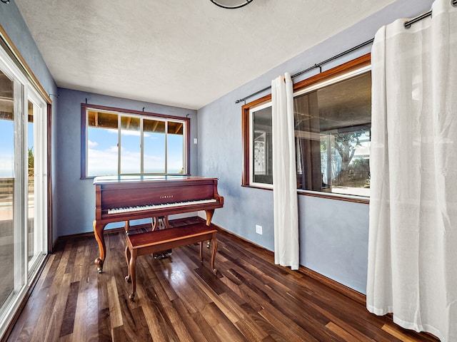 miscellaneous room with a textured ceiling and dark hardwood / wood-style flooring