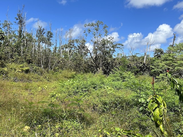 Listing photo 3 for 13-3395 Kupono St, Pahoa HI 96778