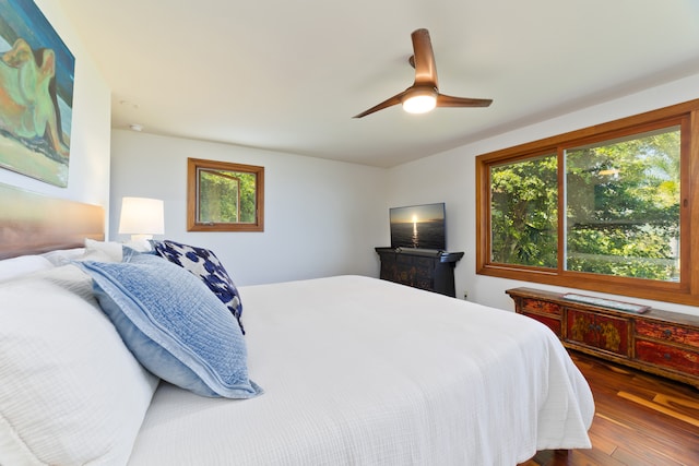 bedroom with ceiling fan, dark wood-type flooring, and multiple windows