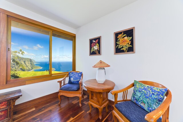 living area with wood-type flooring, baseboards, and a water view