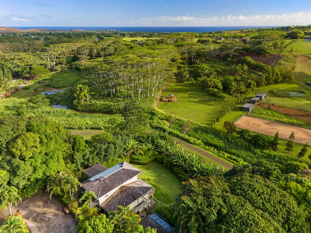 3707 Omao Rd, Koloa, HI 96756 - drone / aerial view featuring a water view