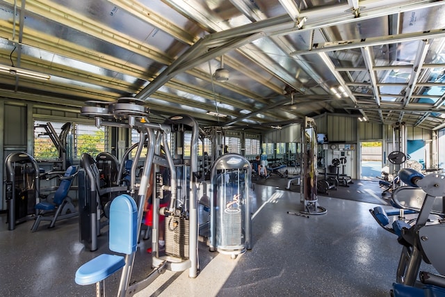 workout area featuring lofted ceiling and plenty of natural light