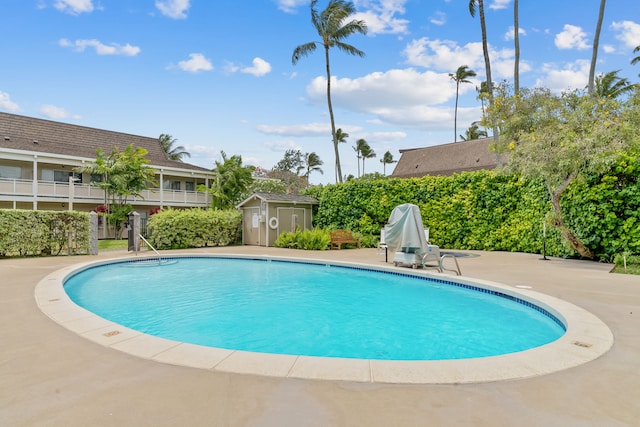 view of swimming pool with a storage shed and a patio