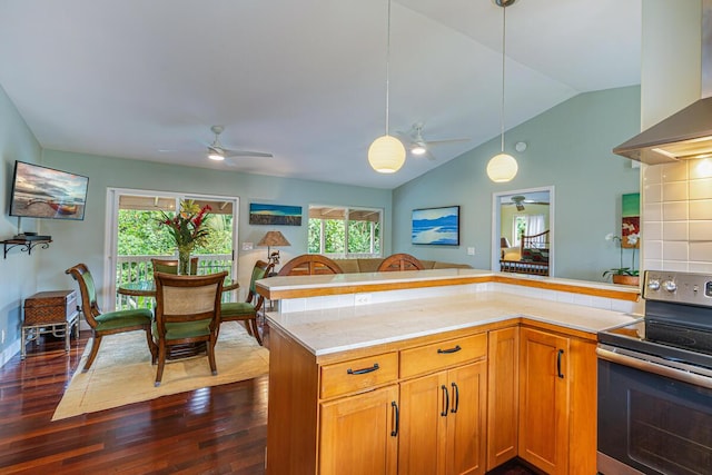 kitchen featuring island exhaust hood, electric range, dark hardwood / wood-style floors, and a wealth of natural light