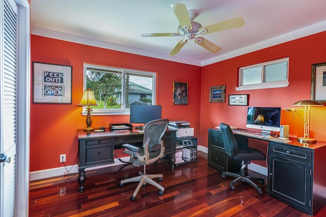 office space with dark hardwood / wood-style flooring and ceiling fan