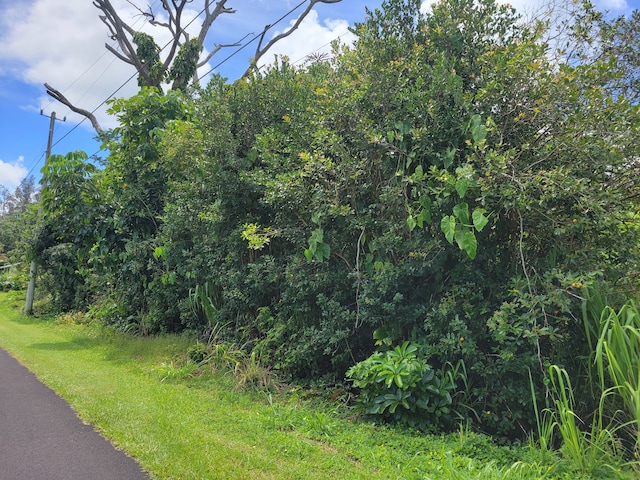 Kaku St, Pahoa HI, 96778 land for sale