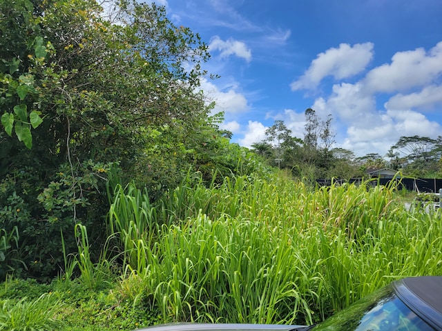 Listing photo 2 for Kaku St, Pahoa HI 96778