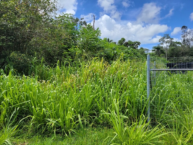 Listing photo 3 for Kaku St, Pahoa HI 96778