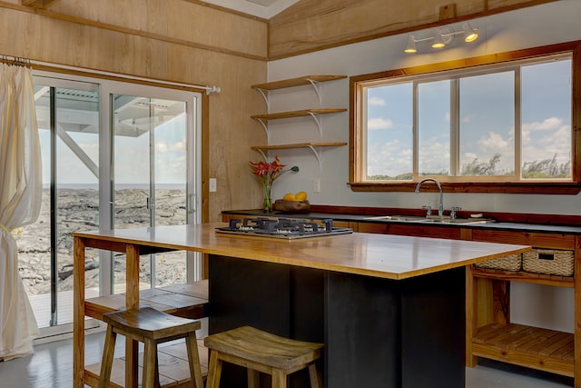 kitchen with light hardwood / wood-style flooring, plenty of natural light, stainless steel gas stovetop, and sink