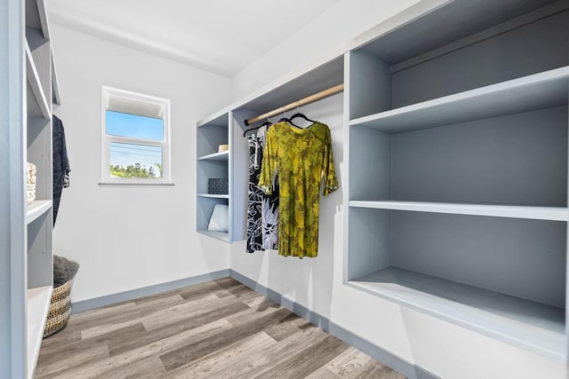 spacious closet with wood-type flooring