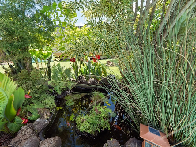 view of yard with a garden pond