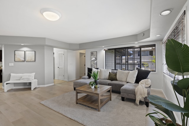 living room with light wood-type flooring