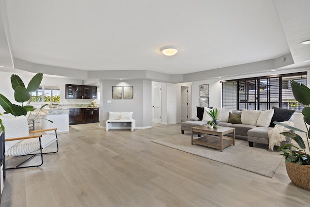 living room with light hardwood / wood-style floors