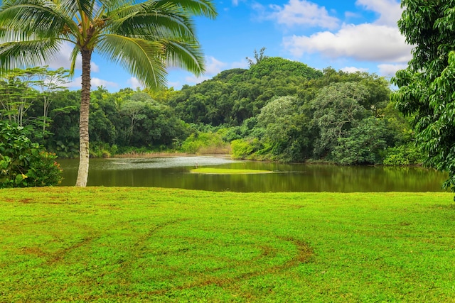 water view