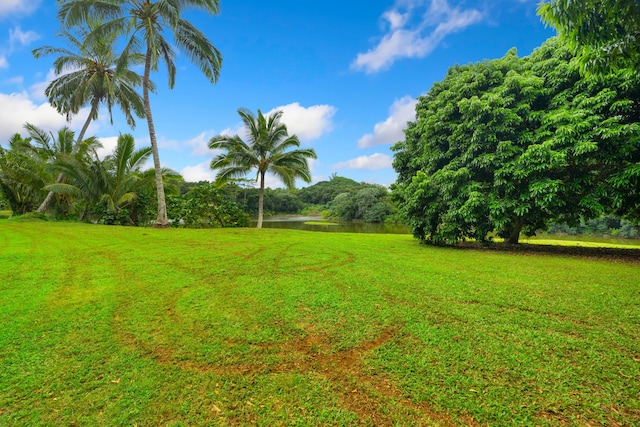 view of yard featuring a water view