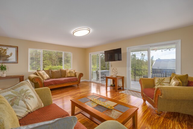 living room featuring light hardwood / wood-style floors and a healthy amount of sunlight