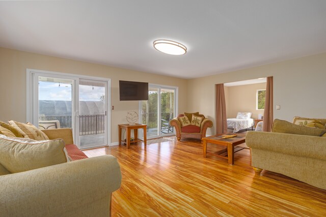 living room with light hardwood / wood-style floors and a wealth of natural light
