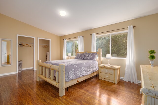 bedroom featuring wood-type flooring, a spacious closet, and lofted ceiling