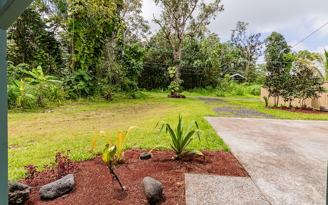 view of yard