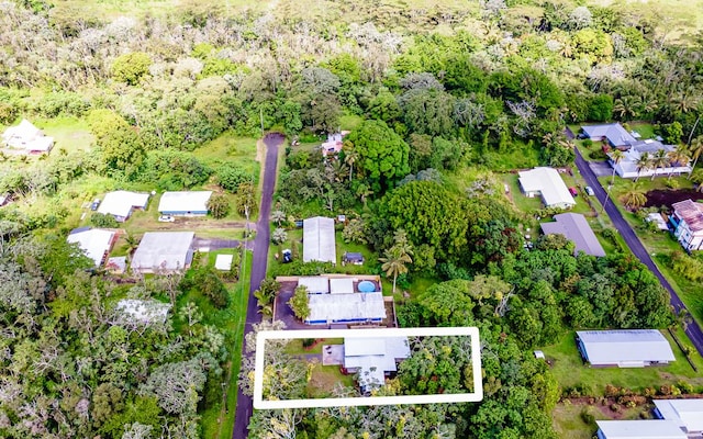 bird's eye view