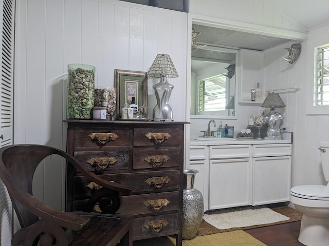 bathroom featuring toilet, vanity, and wood finished floors