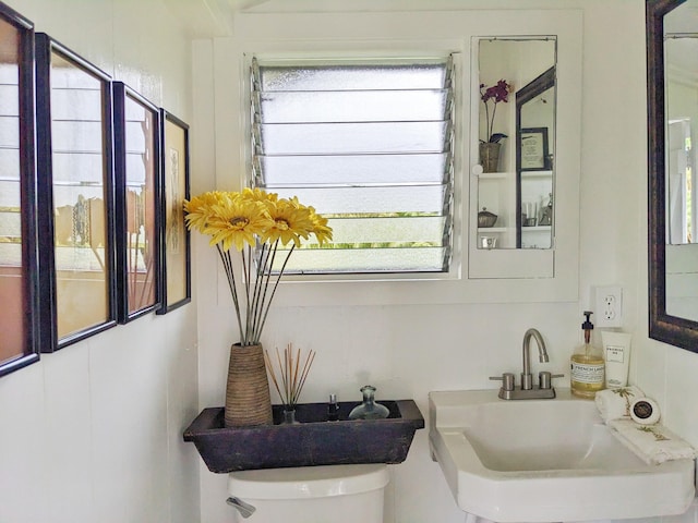 half bathroom featuring a wealth of natural light, a sink, and toilet