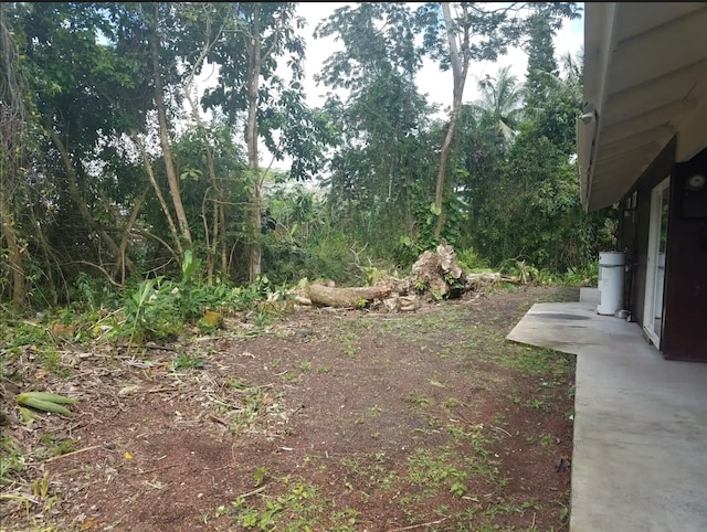 view of yard featuring a patio