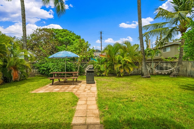 view of yard featuring a patio area