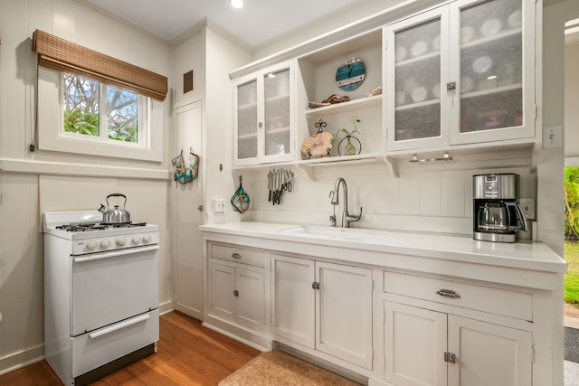 bar area featuring white range with gas cooktop, a sink, wood finished floors, crown molding, and baseboards