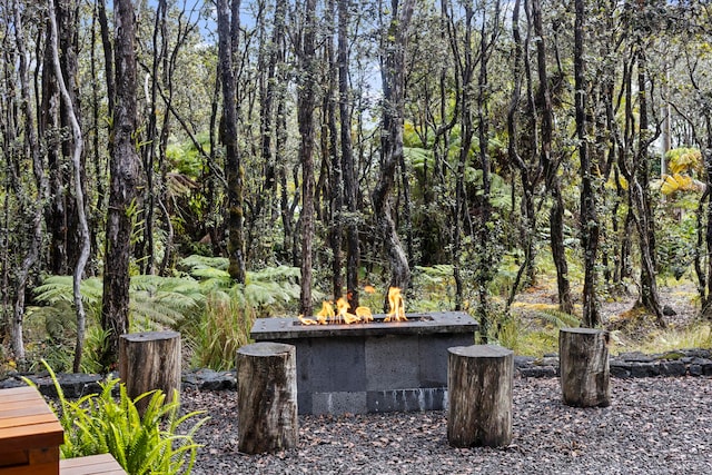 view of yard featuring an outdoor fire pit